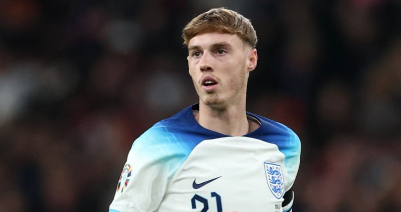 选择我们的五大优势